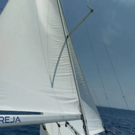Nereja Biograd Na Moru